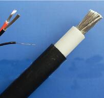 WDZ-DCK，WDZ-DCKP-125，DCEVM機車電纜